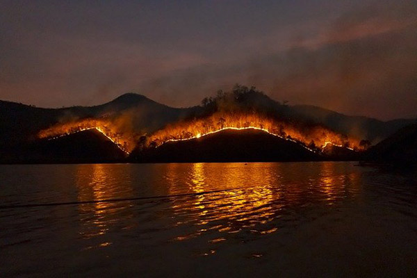 Incendios en Amazonía brasileña registrados en 2022 superan el total del año pasado