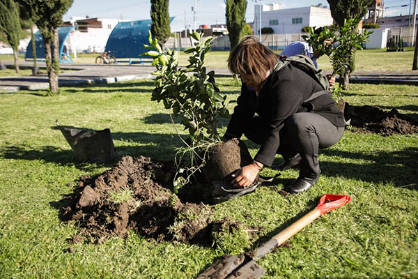 Llevan a cabo jornada de forestación en San Andrés Cholula
