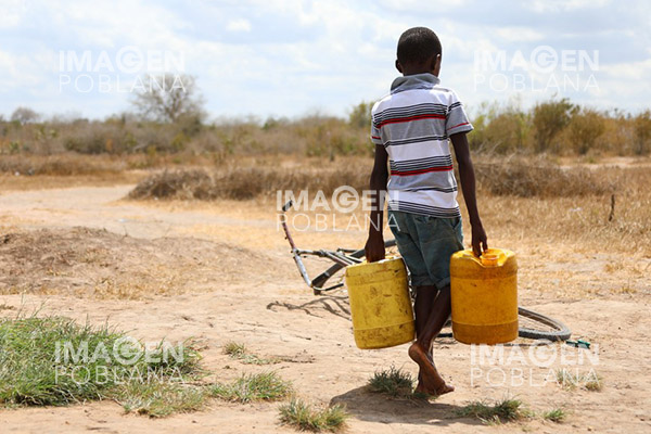 ONU: Severa sequía afectará a 36.1 millones de personas en Cuerno de África