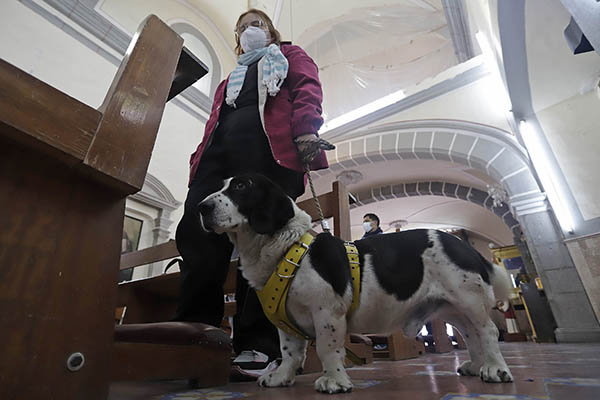 Bendición de animales, una tradición que se va perdiendo