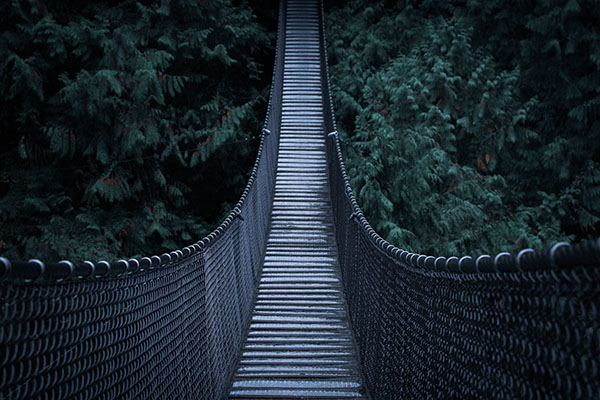 Dos muertos y 11 heridos al derrumbarse un puente colgante en Serbia