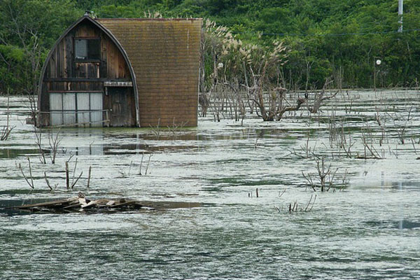 Venezuela identifica 23 empresas afectadas por inundaciones y deslaves