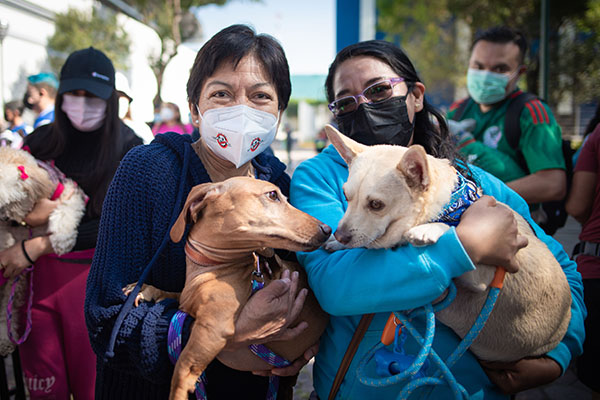 Con caminata perruna, BUAP promueve la salud y el vínculo con mascotas