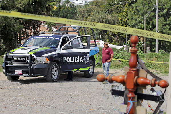 Perros "exhuman" cráneo en un panteón
