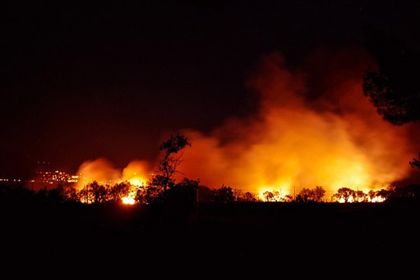 Incendio forestal en Chile ha consumido al menos 3,600 hectáreas