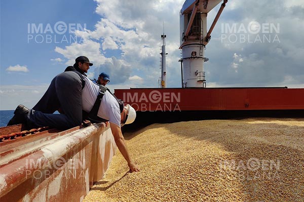 Planea Turquía proponer prórroga por un año de pacto alimentario