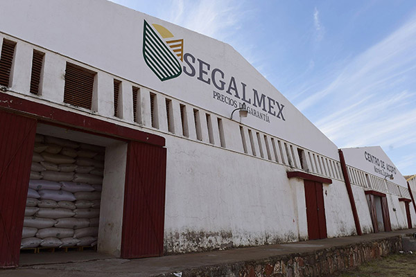 Segalmex debe dar a conocer denuncias ante FGR por faltante de casi 900 mdp: INAI