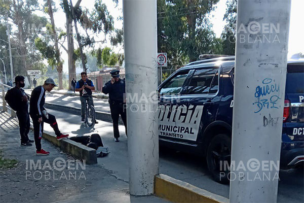 Patrulla atropella a estudiante de la UTP en carril confinado de RUTA