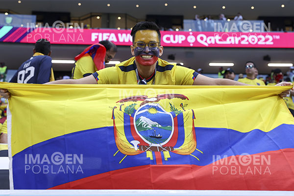 Federación Ecuatoriana de Futbol pide a su hinchada evitar "cánticos ofensivos"