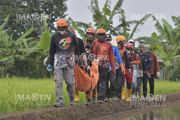 Van 310 muertos por terremoto en Indonesia