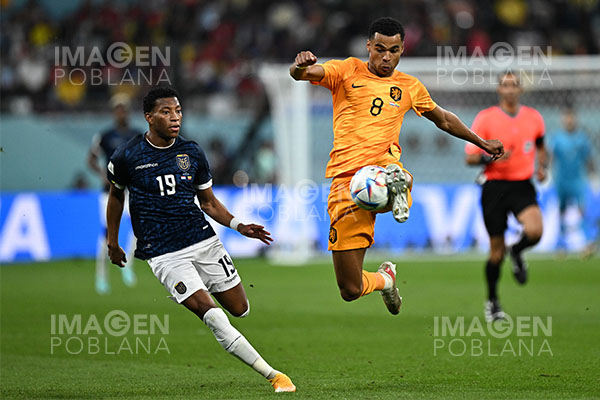 Empate entre Ecuador y Países Bajos los mantiene con vida para clasificar