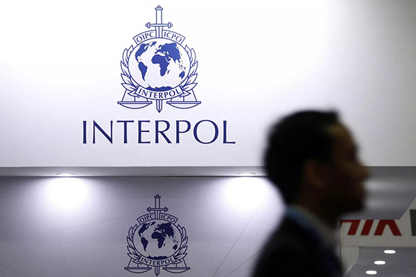 Miles de animales son decomisados en una operación internacional de la Interpol