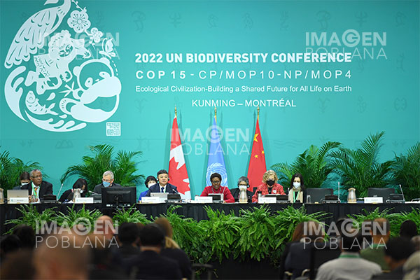 Conferencia de ONU sobre biodiversidad busca un cambio transformador