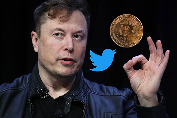 Twitter Coin: ¿Elon Musk planea aceptar pagos con criptomonedas en la red social?