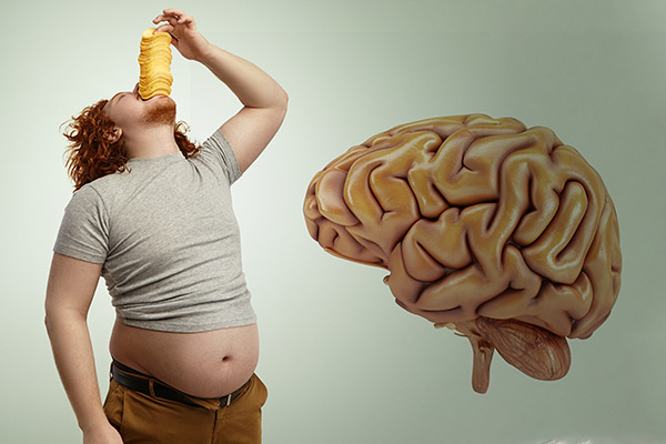 Males de la comida chatarra: estudio sugiere que su consumo afecta el cerebro
