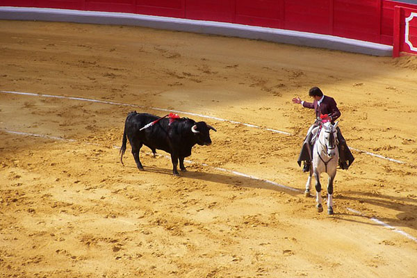 Colombia aprueba ley que prohíbe las corridas de toros
