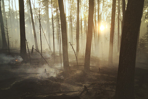 Chile declara alerta sanitaria en capital por densa nube de humo tras incendios forestales