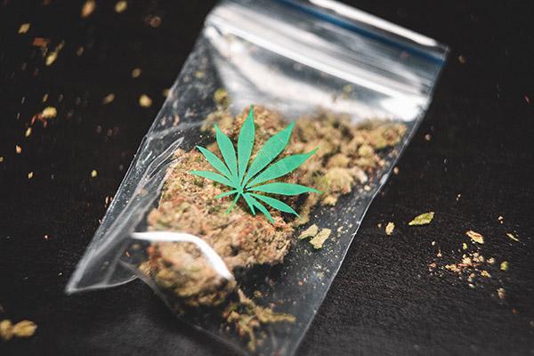 Las drogas más decomisadas en México durante el cierre de 2022