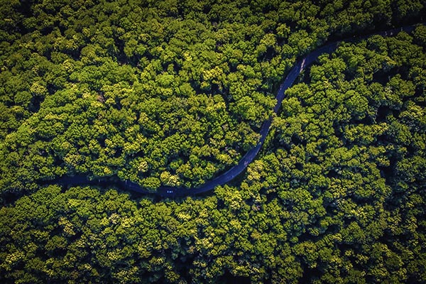 Alemania volverá a invertir en la conservación de la Amazonia brasileña