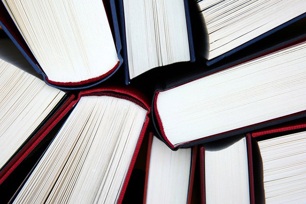 Yasmín Esquivel y otros presuntos casos de plagio de tesis
