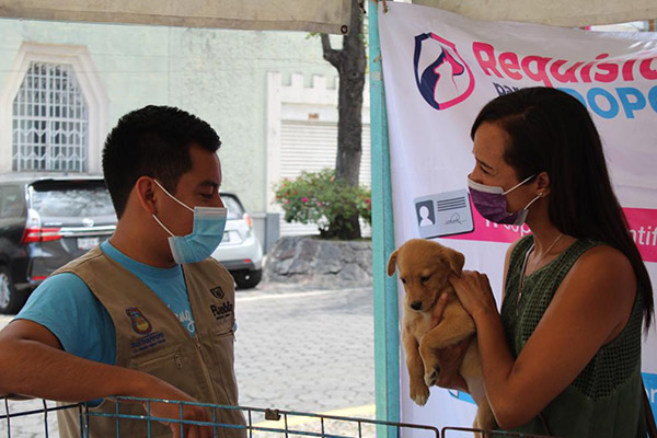 Medio Ambiente exhorta a evitar la compra-venta de mascotas este Día de Reyes