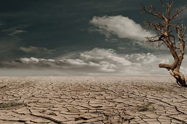 Sequías y calor extremo afectarán a 90 % de la población, advierte estudio