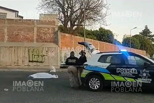 Muere mujer atropellada; el responsable se dio a la fuga