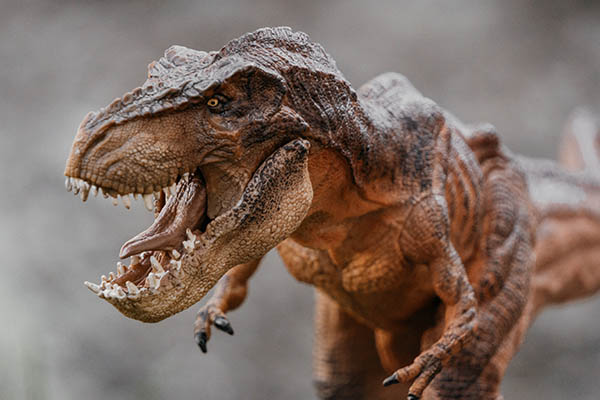 Tiranosaurio rex pudo haber sido ser tan inteligente como los monos