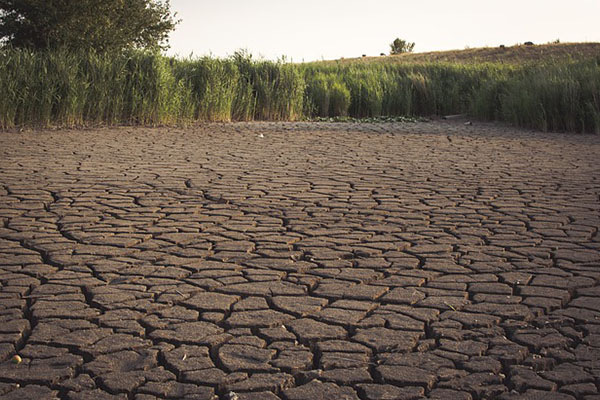 Argentina cuenta con más de 175 millones de hectáreas en riesgo de sequía
