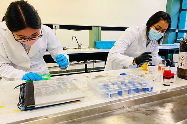 Investigan alumnas de UTP compuestos para crear medicamentos anticancerígenos