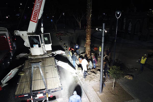 Ayuntamiento de Puebla planta palmeras en avenida Juárez y Paseo Bravo