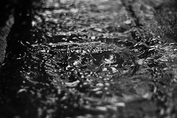 Declaran estado de emergencia en Auckland, Nueva Zelanda, por inundaciones