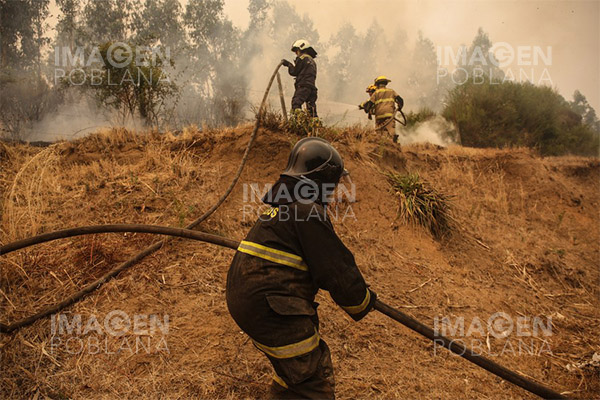 Chile declara toque de queda en 20 comunas del sur por incendios forestales