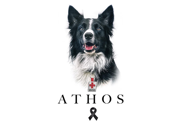 El legado de Athos en labores de rescate y leyes contra el maltrato animal