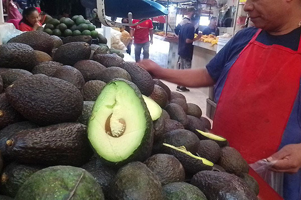 Super Bowl, un problema para los comerciantes de aguacate en Puebla