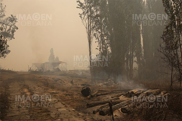 Van 25 muertos y más de 425,000 hectáreas calcinadas por incendios en Chile