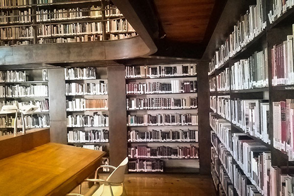 Biblioteca, la “idea romántica” de sostener un libro en las manos