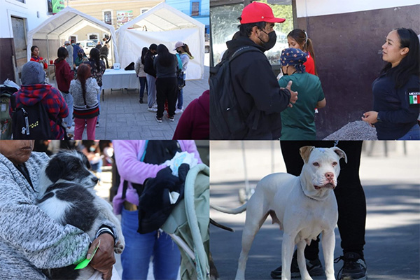 Concluye campaña de esterilización gratuita para perros y gatos en Amozoc