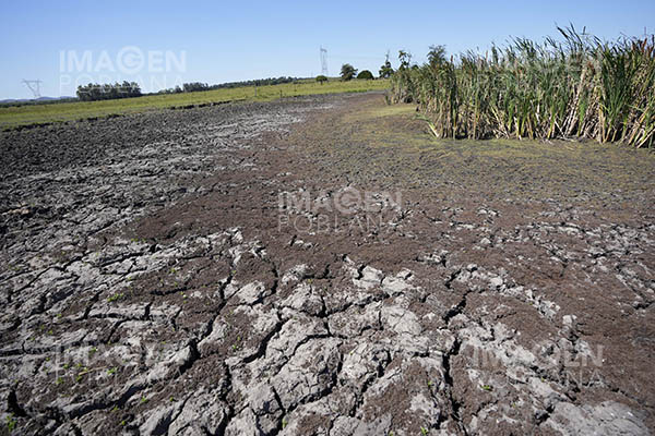 Uruguay recibe lluvias "insuficientes" para superar sequía, dice ministro