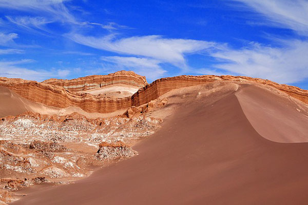 Descubren ADN de organismos “desconocidos para la ciencia” en desierto de Chile