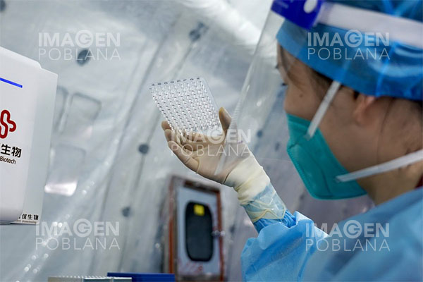 OMS pide a comunidad internacional compartir datos sobre COVID-19 tras tensión entre EU y China