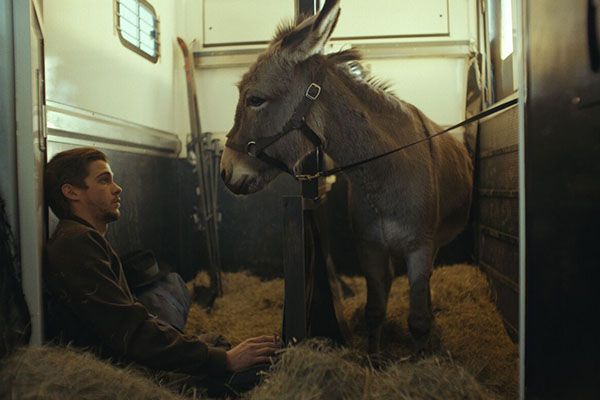 “EO”, un burro que va camino a los Oscar