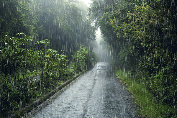 Más de 60 muertos y 93 heridos por ciclón tropical Freddy en Malawi