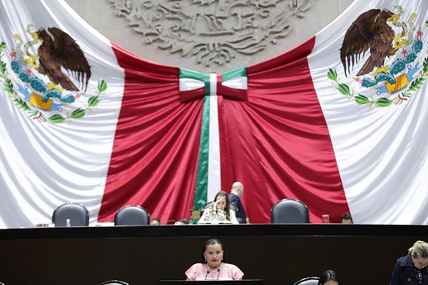 Diputados aprueban reforma en materia de bienestar animal