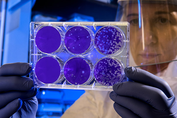 Descubren bacterias que “comen” petróleo y son resistentes a las heladas