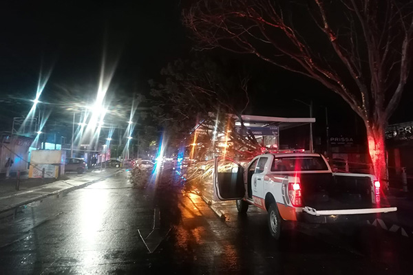 Dos árboles y un poste derribados, saldo de intensos vientos en Puebla