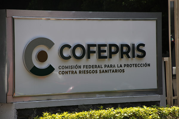 Exponen a Cofepris por autorizaciones irregulares a empresas de cannabis