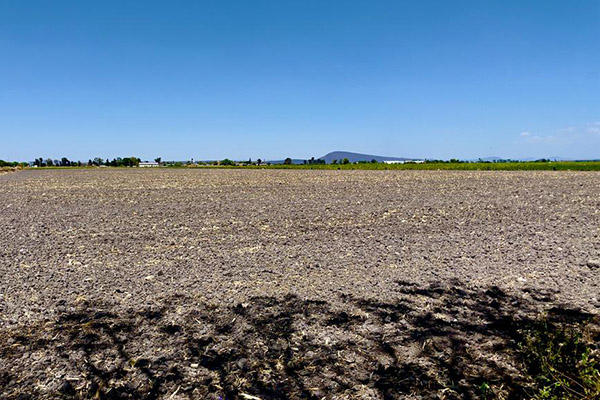 Sequía en tres cuartas partes del territorio amenaza la producción agrícola nacional
