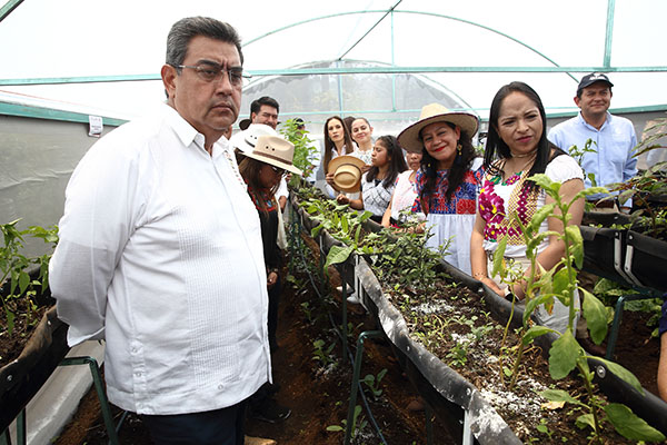 Reconocen estrategia del gobierno de Sergio Salomón para combatir carencia alimentaria