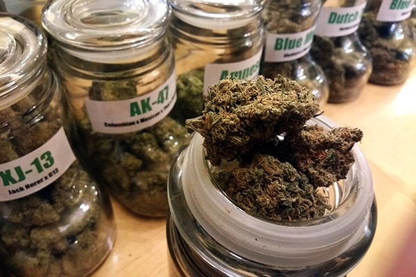 En qué país es más popular la marihuana medicinal